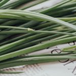 3 anti-moustiques naturels pour vous protéger à l’extérieur et dans votre intérieur